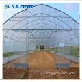 Hydroponics Farm Single-Span Agricultural Greenhouse